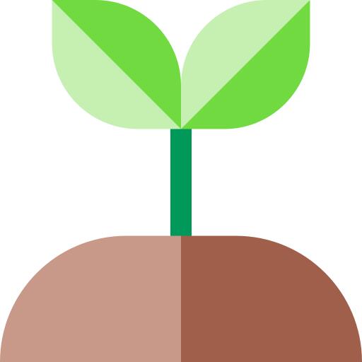 种植植物