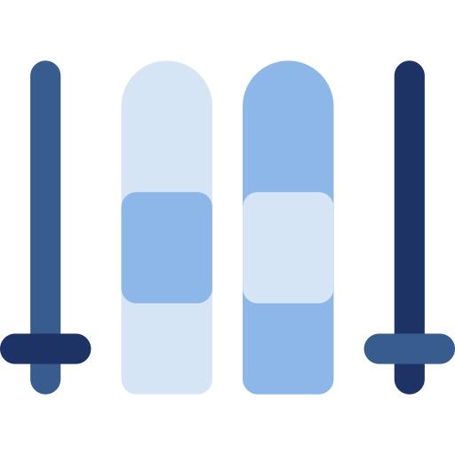 Ski