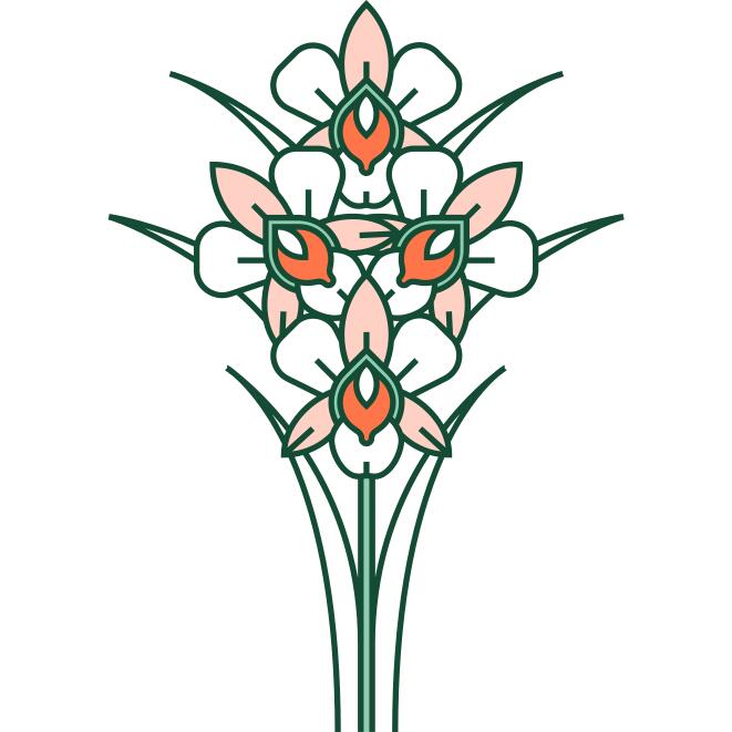 兰花