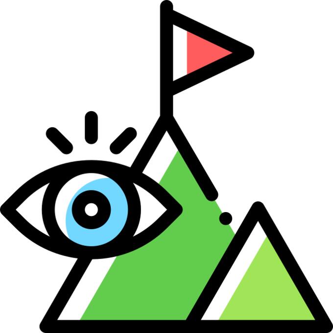 Vision