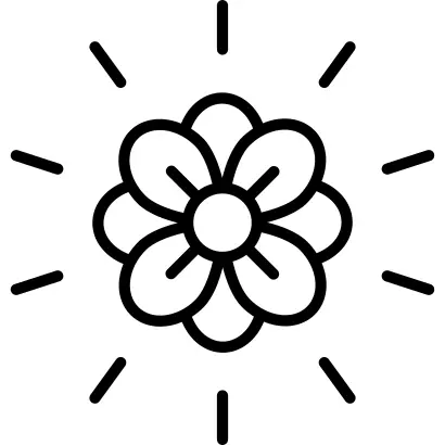Bloom