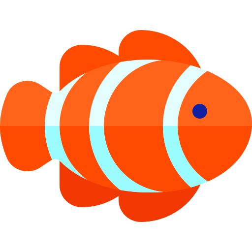 Clown fish