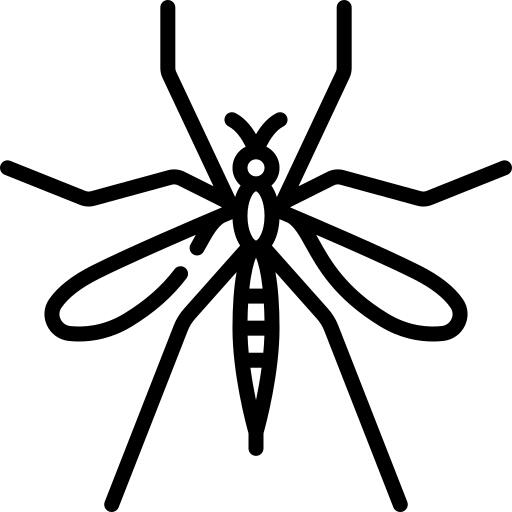 Mosquito