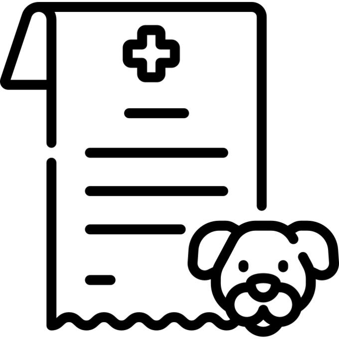 Medical record