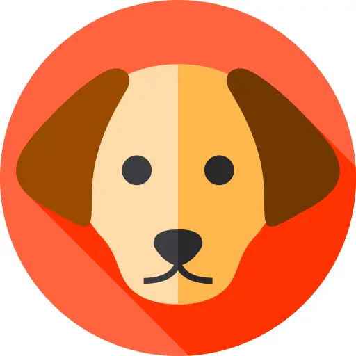 狗