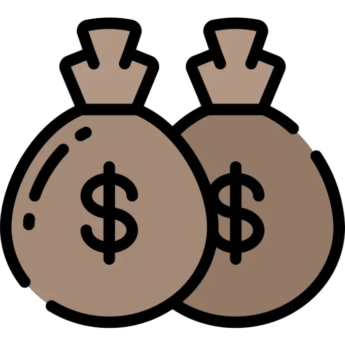 Money bag
