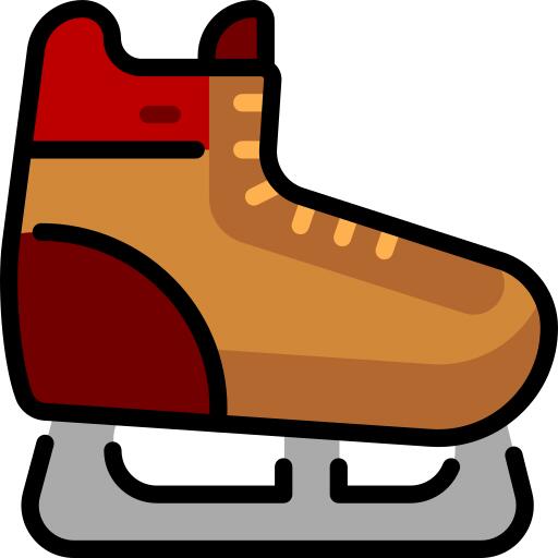 Ice skate
