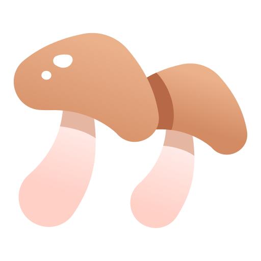 蘑菇