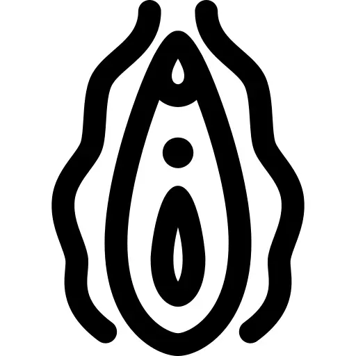 阴道