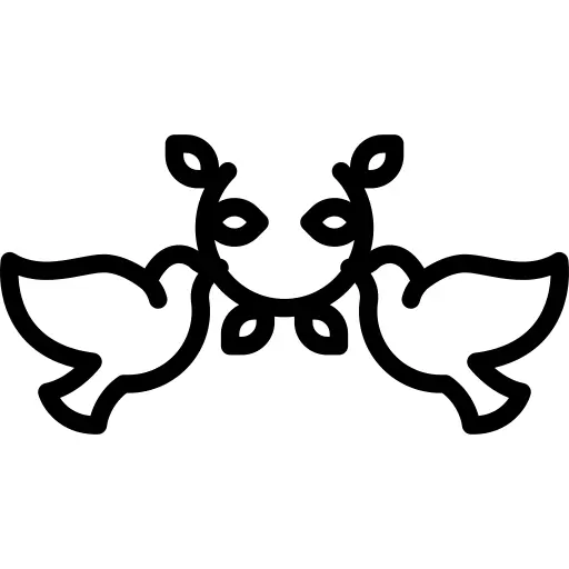 鸽子
