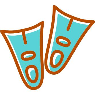 Flippers