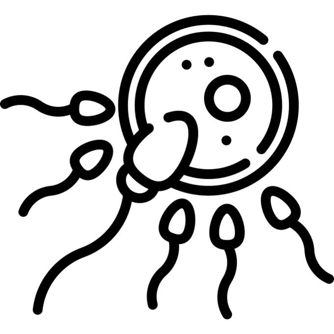 Reproduction