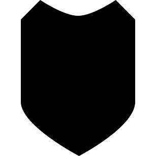 Protection shield