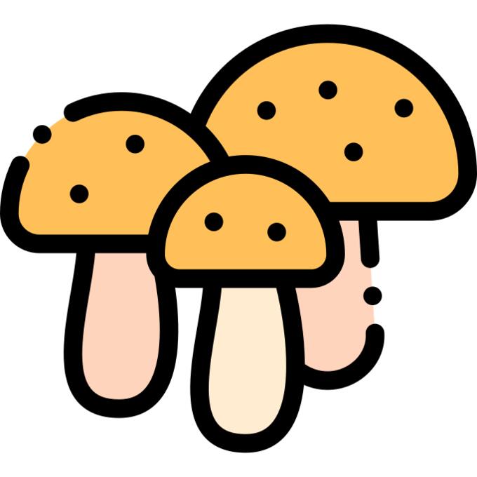 蘑菇