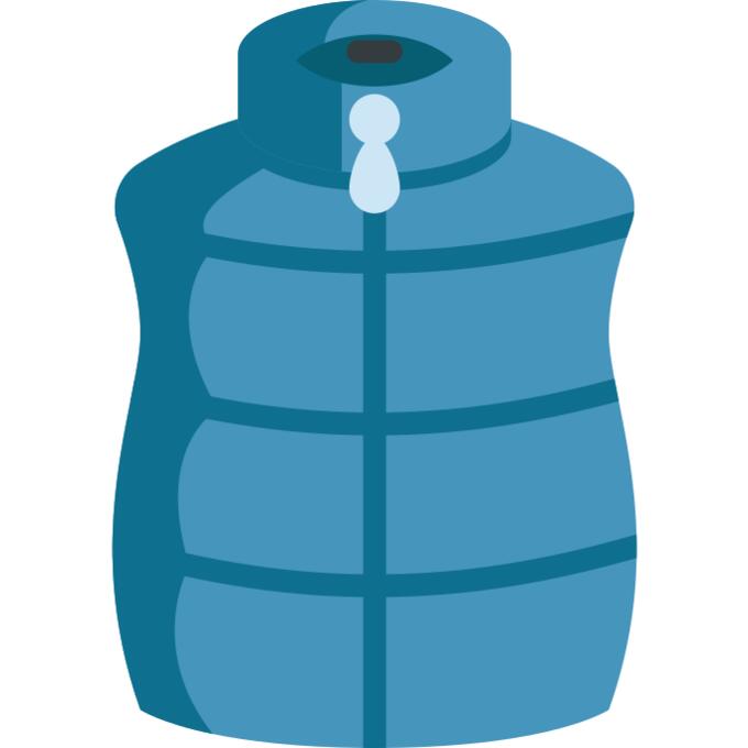 Vest