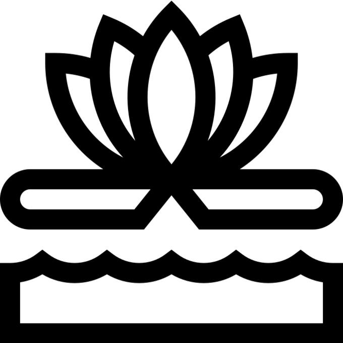 Pond