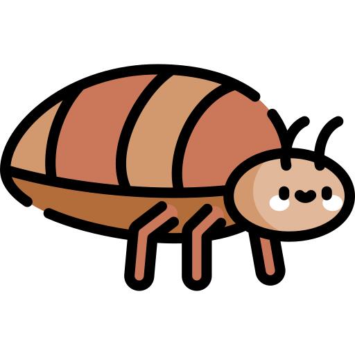 Bedbug