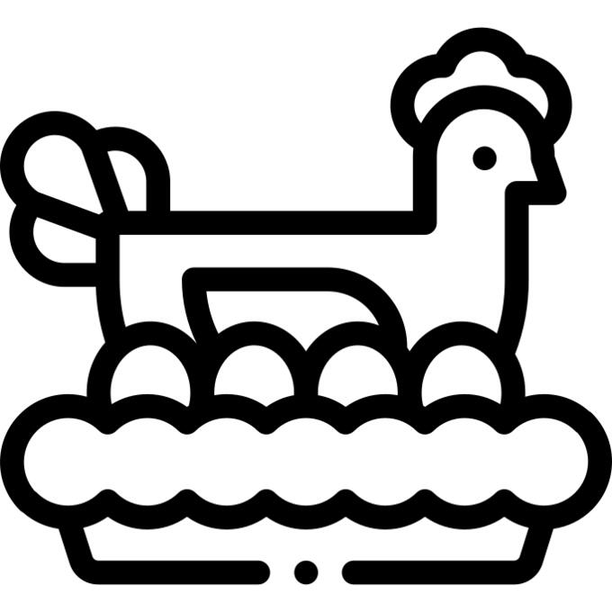 动物