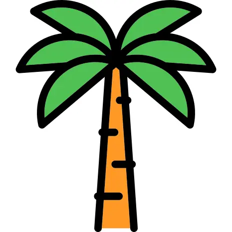 Palm tree