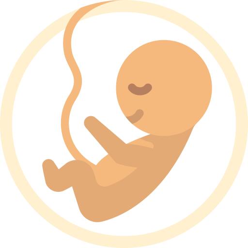 Embryo