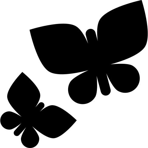 Two Butterflies
