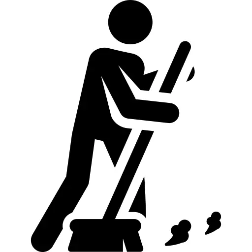 Cleaner