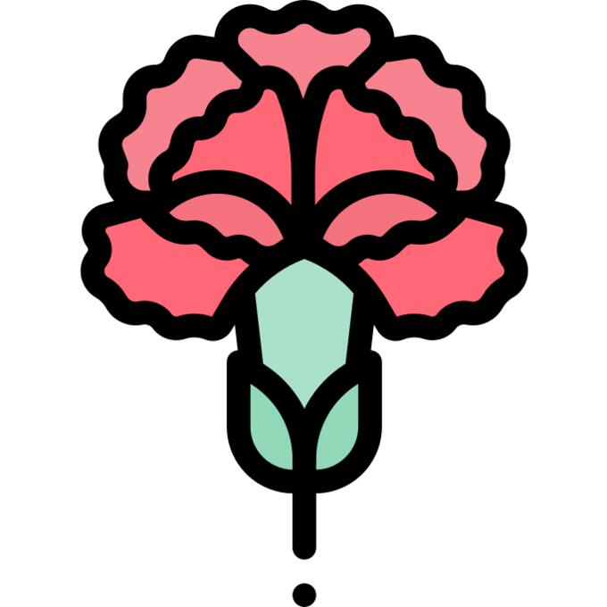 Carnation