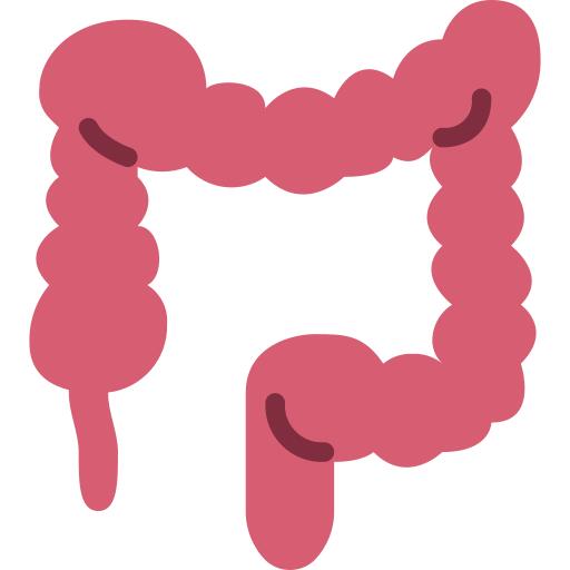结肠