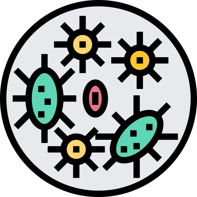 Bacteria