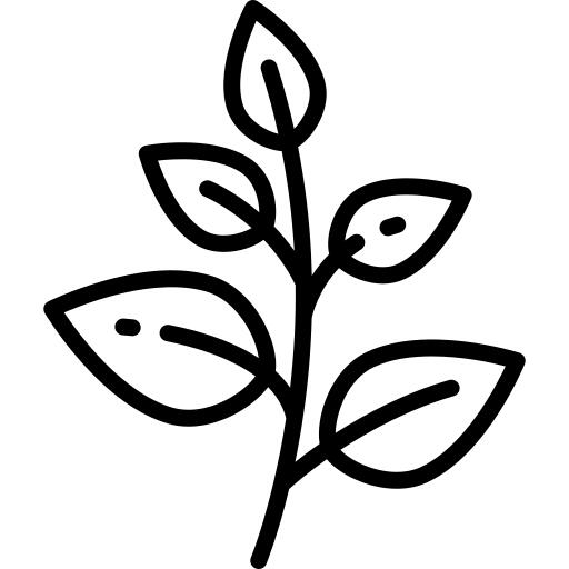 草本植物