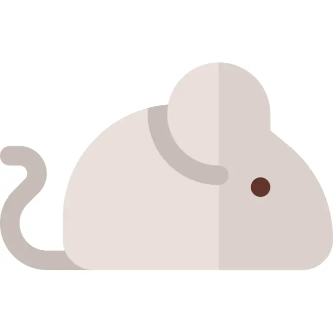 Mouse