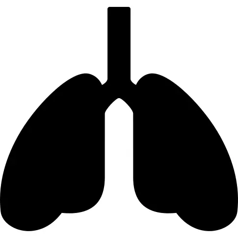 Oxygenation of lungs