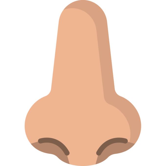 Nose
