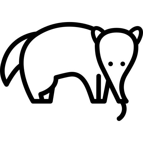 蚂蚁吃