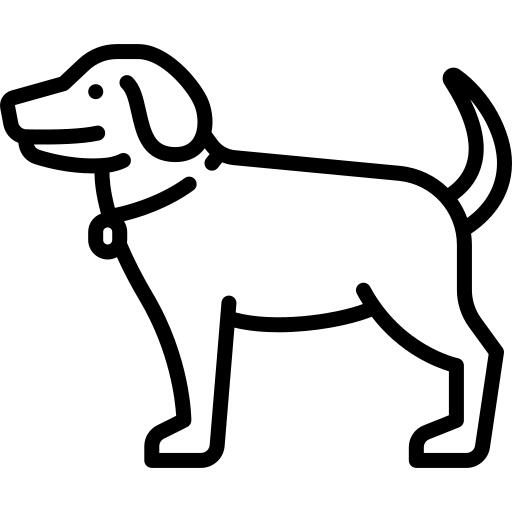 狗