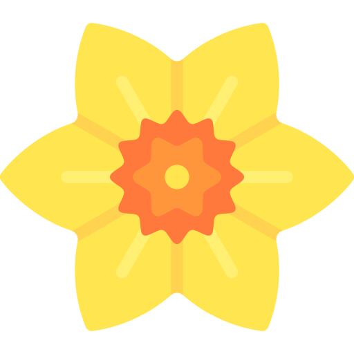 Daffodil