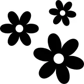 3 flowers