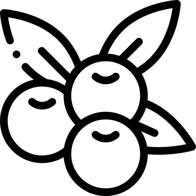 橄榄