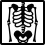 Skeleton view on x ray