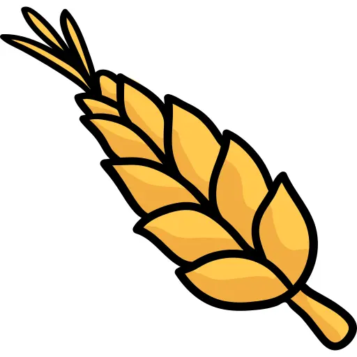 Wheat