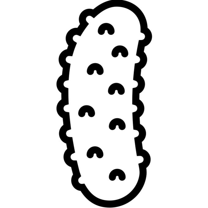Cucumber