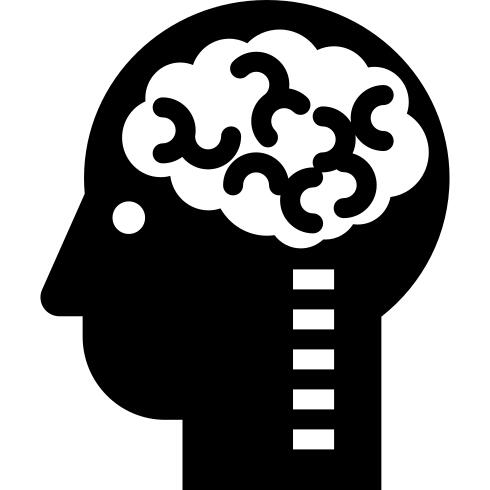 Brain In Head