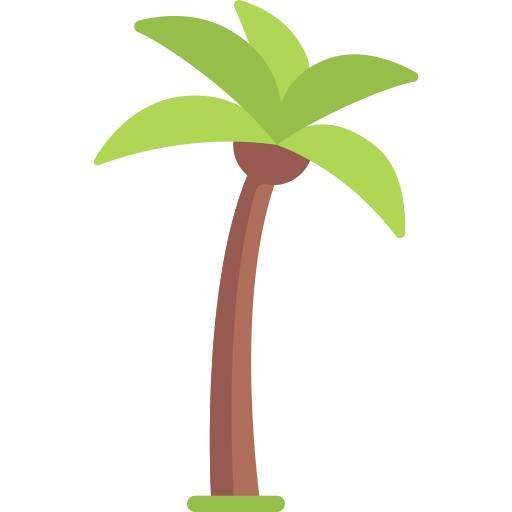棕榈树