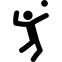 Volleyball Player