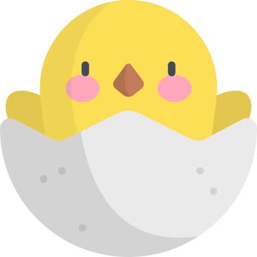 小鸡