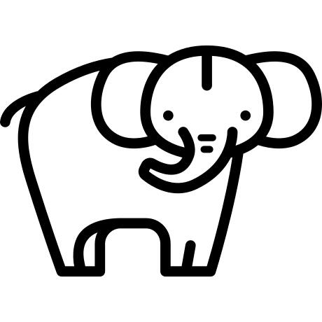 象