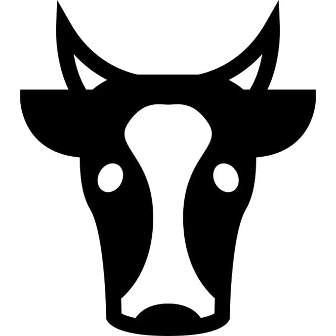 Cow face front