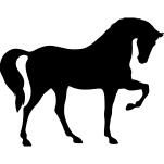 Horse standing on three paws black shape of side view