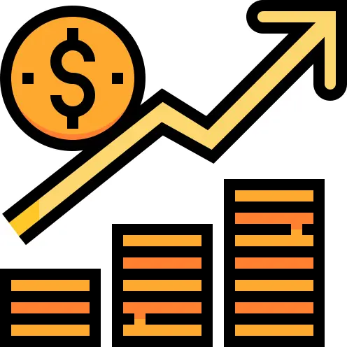 Income