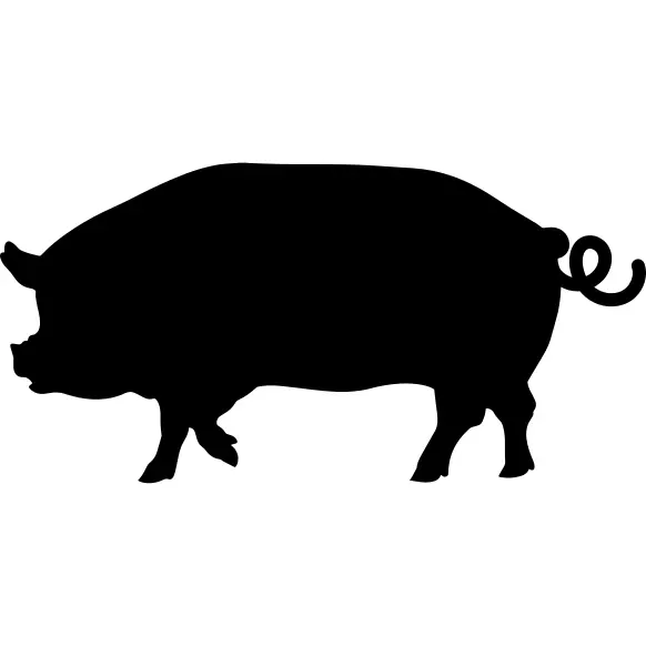 Pig side view silhouette